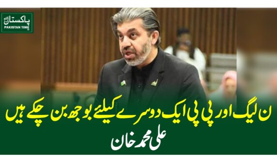 ن لیگ اور پی پی ایک دوسرے کیلئے بوجھ بن چکے ہیں، علی محمد خان