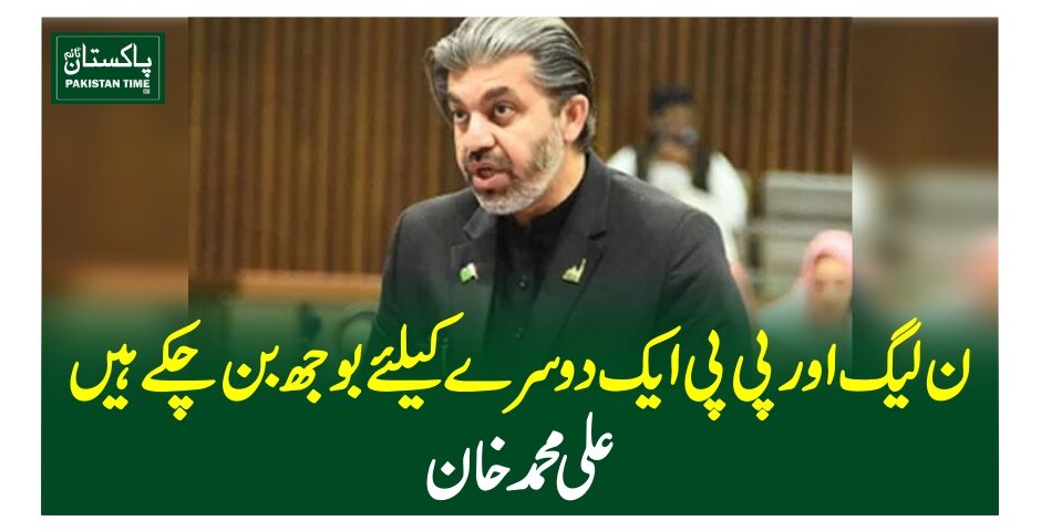 ن لیگ اور پی پی ایک دوسرے کیلئے بوجھ بن چکے ہیں، علی محمد خان