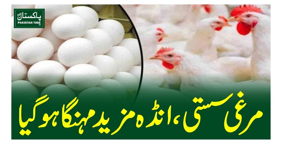 مرغی سستی، انڈہ مزید مہنگا ہوگیا