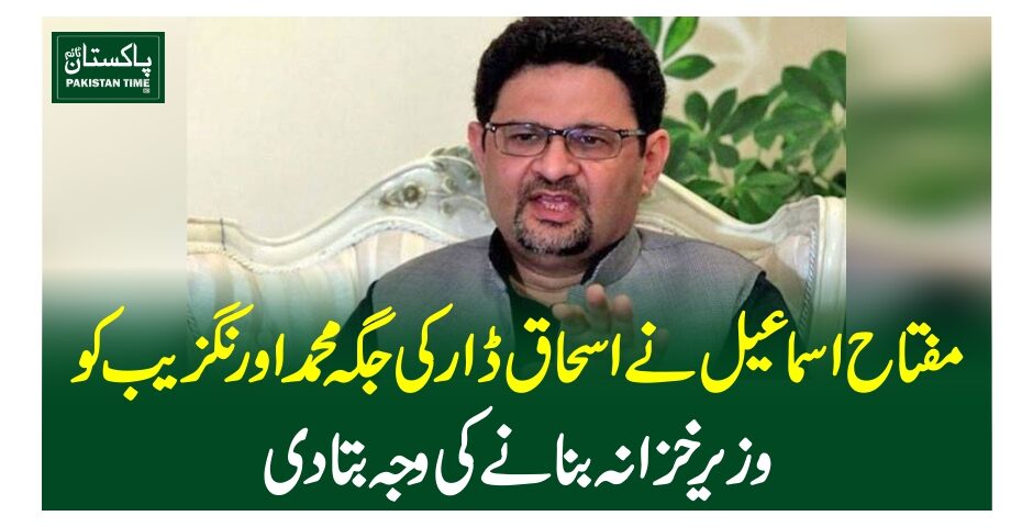 مفتاح اسماعیل نے اسحاق ڈا ر کی جگہ محمد اورنگزیب کو وزیرخزانہ بنانے کی وجہ بتادی