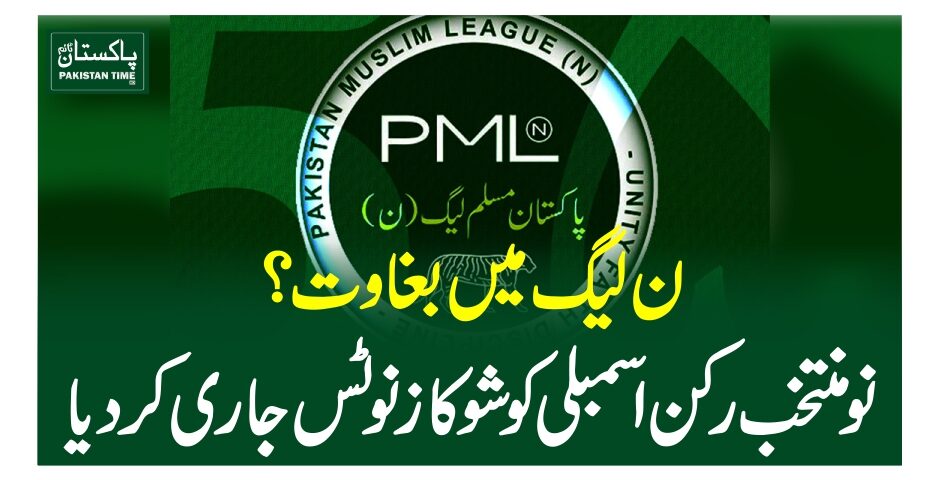 ن لیگ میں بغاوت؟ نومنتخب رکن اسمبلی کو شوکاز نوٹس جاری کردیا