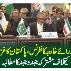 او آئی سی وزرائے خارجہ کانفرنس، پاکستان کا غزہ محاصرے کیخلاف مشترکہ جہدوجہد کا مطالبہ