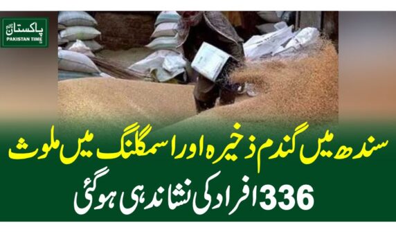 سندھ میں گندم ذخیرہ اور اسمگلنگ میں ملوث 336 افراد کی نشاندہی ہوگئی