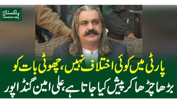 پارٹی میں کوئی اختلاف نہیں، چھوٹی بات کو بڑھا چڑھا کر پیش کیا جاتا ہے، علی امین گنڈاپور