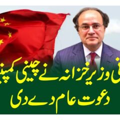 Pakistan Finance Minister on China’s opening-up and its global impact
